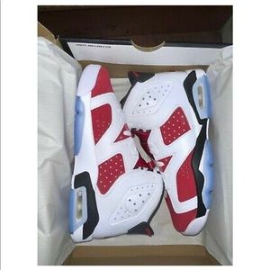 Air Jordan 6 Carmine 2021